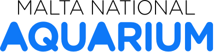 Malta National Aquarium